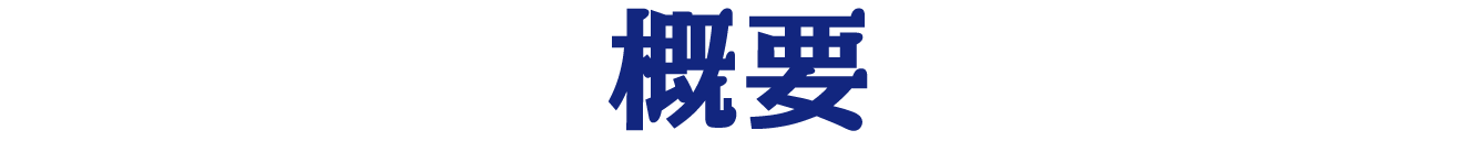 概要